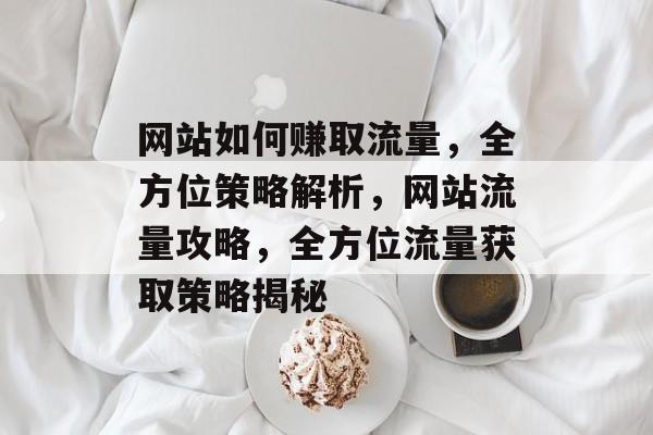 网站如何赚取流量，全方位策略解析，网站流量攻略，全方位流量获取策略揭秘