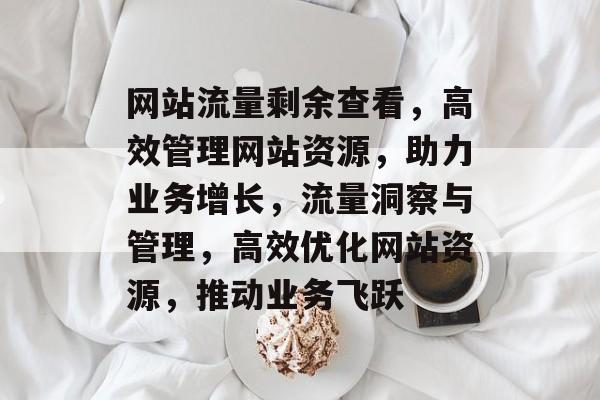 网站流量剩余查看，高效管理网站资源，助力业务增长，流量洞察与管理，高效优化网站资源，推动业务飞跃