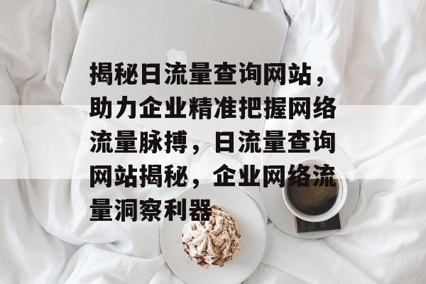 揭秘日流量查询网站，助力企业精准把握网络流量脉搏，日流量查询网站揭秘，企业网络流量洞察利器