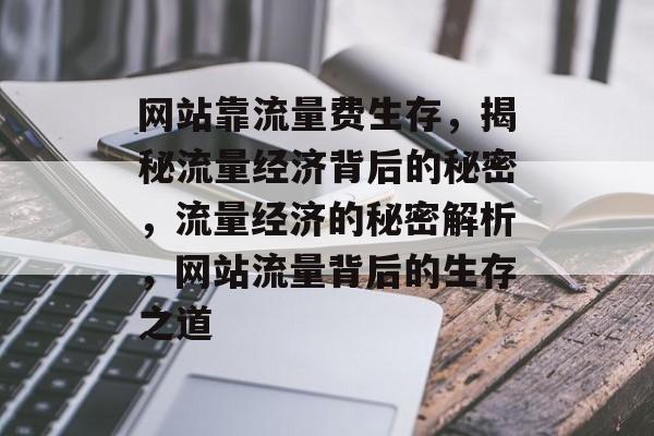 网站靠流量费生存，揭秘流量经济背后的秘密，流量经济的秘密解析，网站流量背后的生存之道