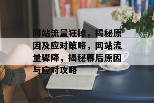 网站流量狂掉，揭秘原因及应对策略，网站流量骤降，揭秘幕后原因与应对攻略