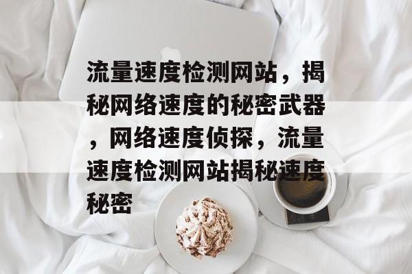 流量速度检测网站，揭秘网络速度的秘密武器，网络速度侦探，流量速度检测网站揭秘速度秘密