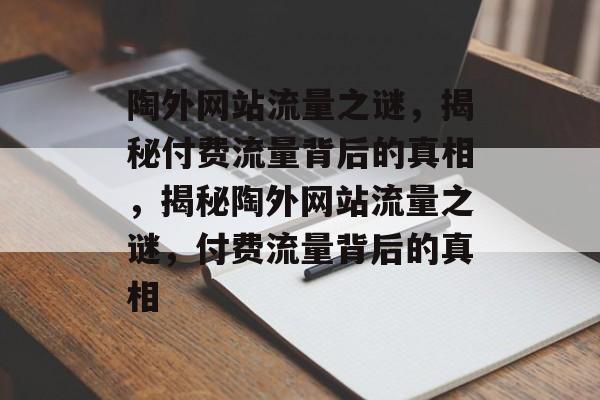 陶外网站流量之谜，揭秘付费流量背后的真相，揭秘陶外网站流量之谜，付费流量背后的真相