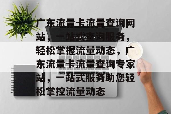 广东流量卡流量查询网站，一站式查询服务，轻松掌握流量动态，广东流量卡流量查询专家站，一站式服务助您轻松掌控流量动态
