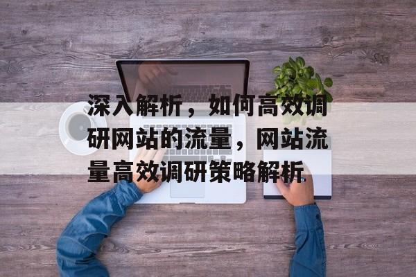 深入解析，如何高效调研网站的流量，网站流量高效调研策略解析