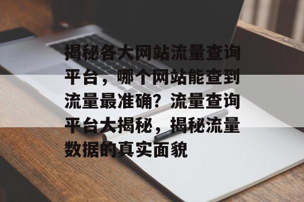 揭秘各大网站流量查询平台，哪个网站能查到流量最准确？流量查询平台大揭秘，揭秘流量数据的真实面貌