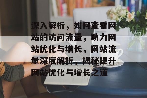 深入解析，如何查看网站的访问流量，助力网站优化与增长，网站流量深度解析，揭秘提升网站优化与增长之道