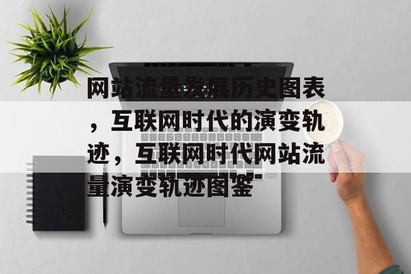 网站流量发展历史图表，互联网时代的演变轨迹，互联网时代网站流量演变轨迹图鉴