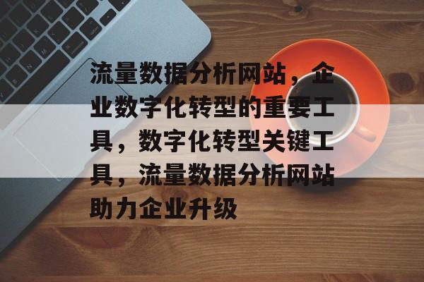 流量数据分析网站，企业数字化转型的重要工具，数字化转型关键工具，流量数据分析网站助力企业升级