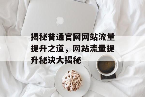 揭秘普通官网网站流量提升之道，网站流量提升秘诀大揭秘