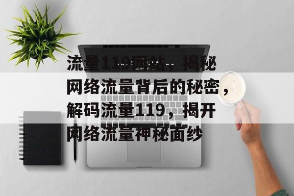 流量119网站，揭秘网络流量背后的秘密，解码流量119，揭开网络流量神秘面纱