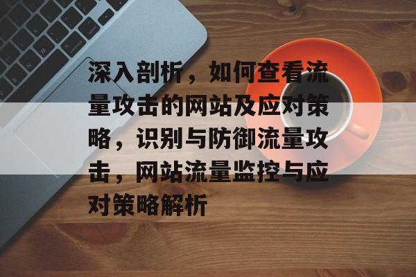 深入剖析，如何查看流量攻击的网站及应对策略，识别与防御流量攻击，网站流量监控与应对策略解析