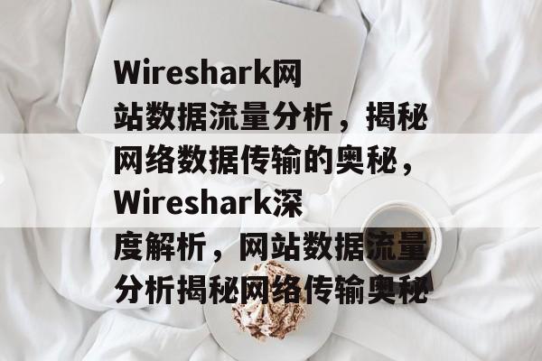 Wireshark网站数据流量分析，揭秘网络数据传输的奥秘，Wireshark深度解析，网站数据流量分析揭秘网络传输奥秘