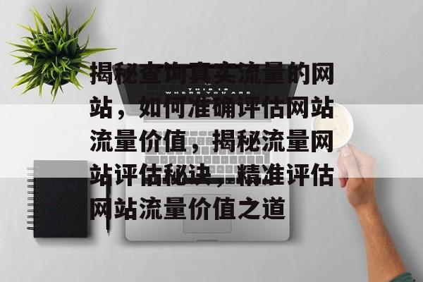 揭秘查询真实流量的网站，如何准确评估网站流量价值，揭秘流量网站评估秘诀，精准评估网站流量价值之道