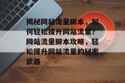 揭秘网站流量脚本，如何轻松提升网站流量？网站流量脚本攻略，轻松提升网站流量的秘密武器