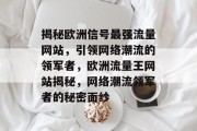 揭秘欧洲信号最强流量网站，引领网络潮流的领军者，欧洲流量王网站揭秘，网络潮流领军者的秘密面纱