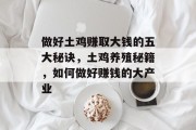 做好土鸡赚取大钱的五大秘诀,土鸡养殖秘籍,如何做好赚钱的大产业 做好土鸡赚取大钱的五大秘诀,土鸡养殖秘籍,如何做好赚钱的大产业