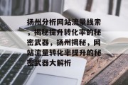 扬州分析网站流量线索，揭秘提升转化率的秘密武器，扬州揭秘，网站流量转化率提升的秘密武器大解析