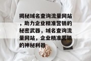 揭秘域名查询流量网站，助力企业精准营销的秘密武器，域名查询流量网站，企业精准营销的神秘利器