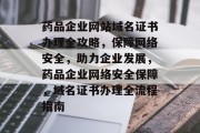 药品企业网站域名证书办理全攻略，保障网络安全，助力企业发展，药品企业网络安全保障，域名证书办理全流程指南