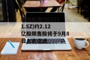 胜通能源(001331.SZ)约2.12亿股限售股将于9月8日上市流通