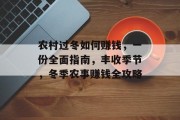 农村过冬如何赚钱,一份全面指南,丰收季节,冬季农事赚钱全攻略 农村过冬如何赚钱,一份全面指南,丰收季节,冬季农事赚钱全攻略