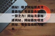 揭秘！哪个网站提高流量最快？专业指南助你一臂之力！网站流量加速揭秘，揭秘最快增流网站，专业指南助力增长