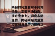 揭秘如何查看对手网站流量，掌握市场动态，提升竞争力，洞察市场脉搏，揭秘网站流量监控策略与竞争力提升之道