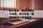 橙汁生意，赚钱的秘诀与前景，橙汁生意，赚钱的秘诀与市场前景