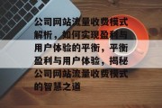 公司网站流量收费模式解析，如何实现盈利与用户体验的平衡，平衡盈利与用户体验，揭秘公司网站流量收费模式的智慧之道