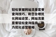 轻松掌握网站流量套餐查询技巧，助您合理优化网站运营，网站流量套餐轻松查询指南，助力优化运营策略
