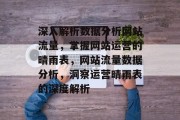 深入解析数据分析网站流量，掌握网站运营的晴雨表，网站流量数据分析，洞察运营晴雨表的深度解析