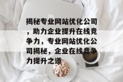 揭秘专业网站优化公司，助力企业提升在线竞争力，专业网站优化公司揭秘，企业在线竞争力提升之道