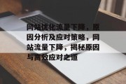 网站优化流量下降，原因分析及应对策略，网站流量下降，揭秘原因与高效应对之道