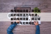 梅州网站流量，数字背后的城市活力与机遇，解码梅州流量，揭示城市活力与无限商机