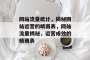 网站流量统计，揭秘网站运营的晴雨表，网站流量揭秘，运营成效的晴雨表