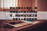网站流量大小查询，揭秘网站访问量背后的秘密，揭秘网站流量之谜，流量大小查询背后的秘密