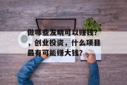 做哪些发明可以赚钱？，创业投资，什么项目最有可能赚大钱？