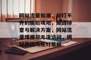 网站流量如潮，却打不开的尴尬境地，原因排查与解决方案，网站流量爆棚却无法访问，揭秘原因与应对策略