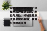 网站遭恶意刷流量，揭秘黑灰产业链背后的利益与风险，揭秘恶意刷流量黑灰产业链，利益与风险面面观