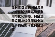 如何查自己的网站流量，全面解析网站流量监测与优化策略，网站流量监测与优化策略全攻略，揭秘如何查网站流量