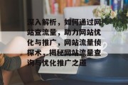 深入解析，如何通过网站查流量，助力网站优化与推广，网站流量侦探术，揭秘网站流量查询与优化推广之道
