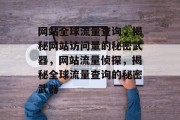 网站全球流量查询，揭秘网站访问量的秘密武器，网站流量侦探，揭秘全球流量查询的秘密武器