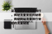 深入分析网站流量排行，揭秘流量背后的秘密，揭秘网站流量排行背后的流量秘密