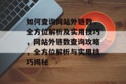 如何查询网站外链数，全方位解析及实用技巧，网站外链数查询攻略，全方位解析与实用技巧揭秘