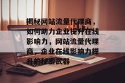 揭秘网站流量代理商，如何助力企业提升在线影响力，网站流量代理商，企业在线影响力提升的秘密武器
