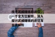 找寻武威赚钱的途径,一个全方位解析,深入探讨武威赚钱的途径及全面解析 找寻武威赚钱的途径,一个全方位解析,深入探讨武威赚钱的途径及全面解析