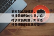 农村创业新机遇,如何选择最赚钱的生意,农村创业新机遇,如何选择最赚钱的生意路径