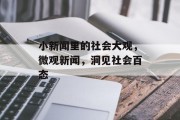 小新闻里的社会大观，微观新闻，洞见社会百态