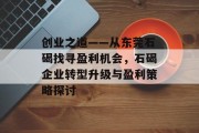 创业之道——从东莞石碣找寻盈利机会,石碣企业转型升级与盈利策略探讨 创业之道——从东莞石碣找寻盈利机会,石碣企业转型升级与盈利策略探讨